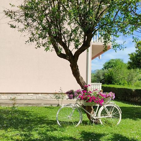 Apartman Dolcerosa コトル エクステリア 写真