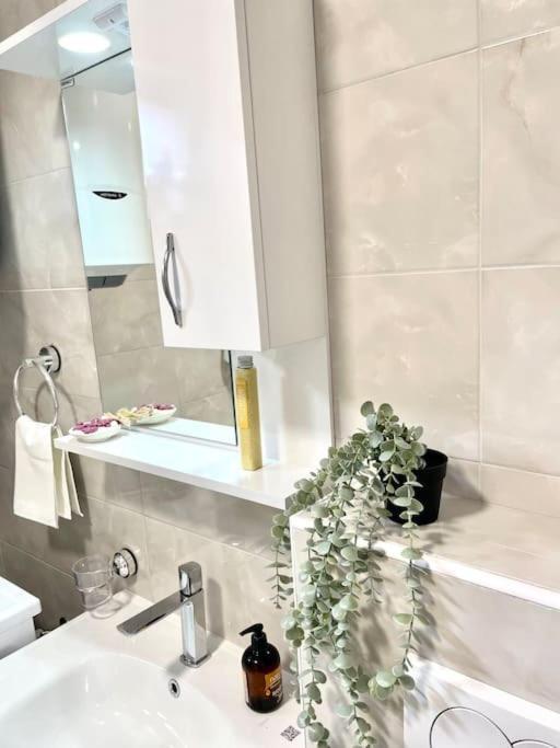 Apartman Dolcerosa コトル エクステリア 写真
